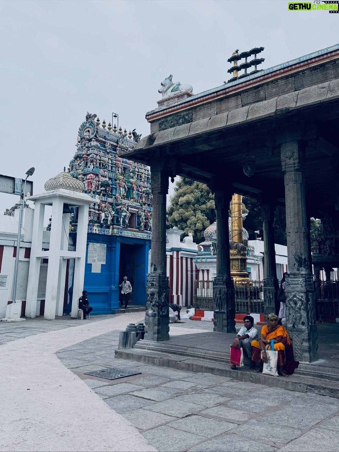Meenakshi Dinesh - 83.2K Likes - No better way to start a Sunday in Chennai!