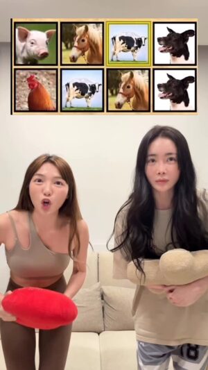 Mei Ho Instagram - #動物挑戰