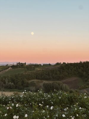 Merritt Patterson Instagram - Olive my dreams came true in Tuscany