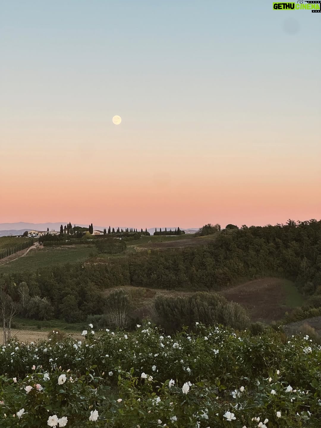 Merritt Patterson - 1.4K Likes - Olive my dreams came true in Tuscany