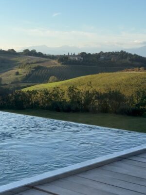 Merritt Patterson Instagram - Olive my dreams came true in Tuscany