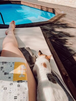 Miisa Rotola-Pukkila Instagram - Käytiin Kreetalla tutussa paikassa hengittelemässä. Katsokaa, kuka tuli 1,5 vuoden tauon jälkeen tervehtimään. Lohduttamaan. Rakas ystäväni Mazepin❤️‍🩹

Juuri silloin, kun sitä eniten tarvitsin.