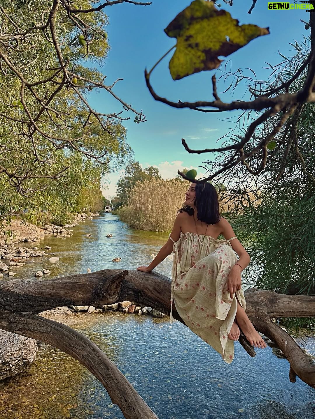Mine Kılıç - 24.9K Likes - Nov’🍂