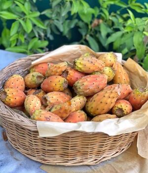 Mine Kılıç Instagram - minimola 🍋