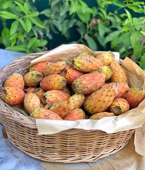 Mine Kılıç - 35.2K Likes - minimola 🍋