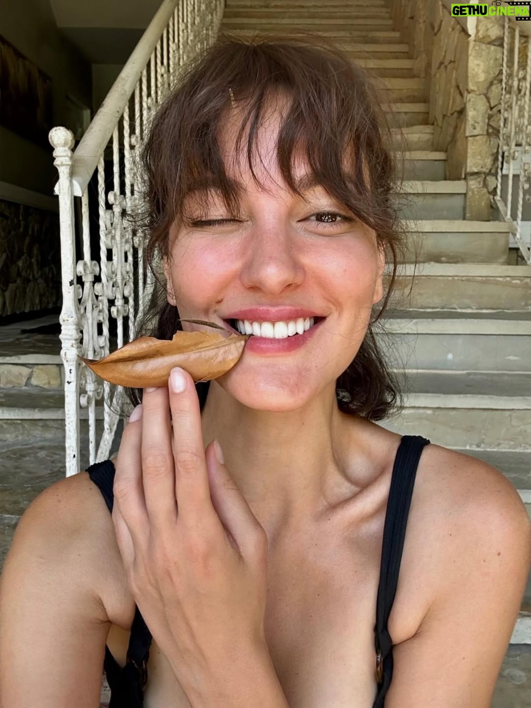 Mine Kılıç - 19.2K Likes - 6 kızıl geyik hayatta hala, az mı?
Benim için “çok” tam da bu kadar bişi. 🫎

Av yasağının ülke genelinde uygulanması “çok” mu büyük hayal misal? Hayal gücümüz de mi sisteme endeksli artık?

Kamuoyu baskısı işliyor, ifşalar kanıtladı.
Fizik yasaları gibi: her eylemin muhakkak bir karşılığı var.

Peki ya sessizlik?
Sessizliğin hangi yasası var?
Sessizlik aslen nötr değil!

 
Mazeret bulmak, aksiyon almaktan hep daha kolay..
Seçme-me-nin de sonuca etki eden, hepimize mal olan bir seçim olduğunu ,unutmadan yaşamalı insan.

Ve bi ucundan yakalamalı, bazen daha zor olanı🌿