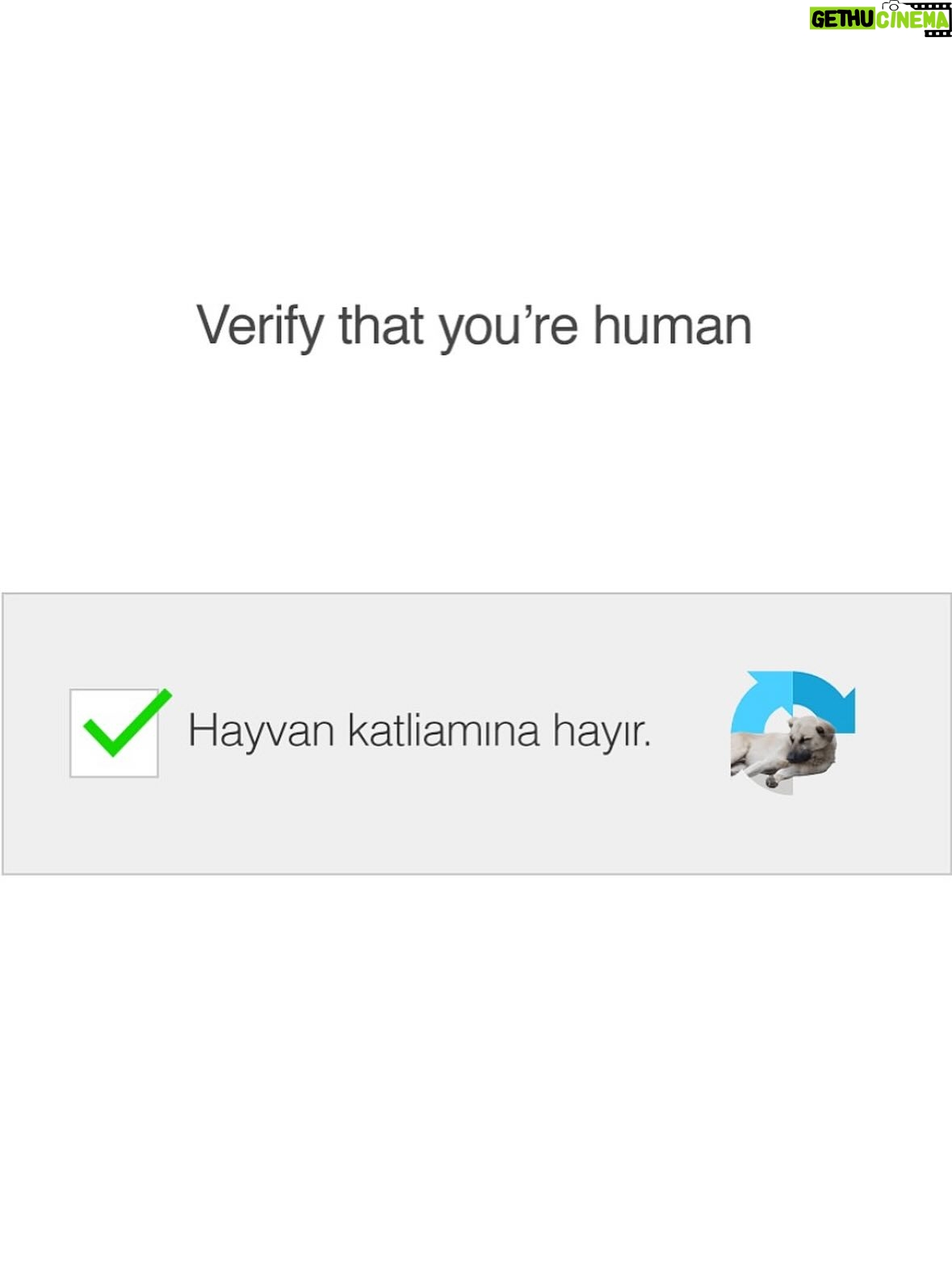 Mine Kılıç - 19.2K Likes - 6 kızıl geyik hayatta hala, az mı?
Benim için “çok” tam da bu kadar bişi. 🫎

Av yasağının ülke genelinde uygulanması “çok” mu büyük hayal misal? Hayal gücümüz de mi sisteme endeksli artık?

Kamuoyu baskısı işliyor, ifşalar kanıtladı.
Fizik yasaları gibi: her eylemin muhakkak bir karşılığı var.

Peki ya sessizlik?
Sessizliğin hangi yasası var?
Sessizlik aslen nötr değil!

 
Mazeret bulmak, aksiyon almaktan hep daha kolay..
Seçme-me-nin de sonuca etki eden, hepimize mal olan bir seçim olduğunu ,unutmadan yaşamalı insan.

Ve bi ucundan yakalamalı, bazen daha zor olanı🌿