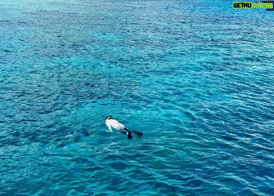 Misako Renbutsu - 6.7K Likes - ドラマ〝私があなたといる理由〟
いよいよ明日7/1 24:30からスタートです🐳

グアムという非日常空間で、2人きりで、1週間。
いつの間にか向き合わざるを得なくなったパートナーとの未来に、静かに確かに、覚悟を決める人たちのお話です。

ロケーションはこれでもかとキラキラしてるのに、描いているのはヒリヒリするほどの心の中で、たぶん、あまり観たことのないドラマになっている気がします。
グアムの壮大さと、それとは対照的な内省的人間模様を、時に身につまされながら 楽しんで観てもらえますように。

（1枚目の写真は、オールアップ直後、テンションの上がったスタッフさんたちが海に飛び込んだ時のもの。お気に入り☺️青春か☺️）

@tx_guam1week