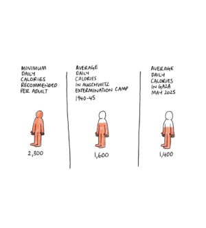 Mona Chalabi Instagram - It shouldn’t be necessary to make this comparison. 
Sources: UN Food and Agriculture Organization, Auschwitz Memorial and Museum
