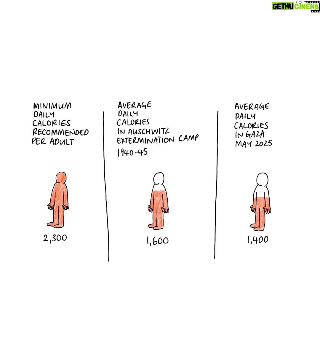 Mona Chalabi - 28.8K Likes - It shouldn’t be necessary to make this comparison. 
Sources: UN Food and Agriculture Organization, Auschwitz Memorial and Museum