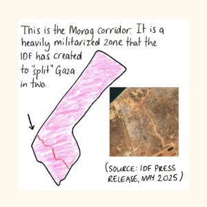 Mona Chalabi Instagram - You might have seen that Israel agreed to a tiny amount of aid for Gaza. But the trucks have been sitting at the border, blocked from entering until distributions areas are prepared. This is the next stage of ethnic cleansing. 

The carrot = food in the south for a population that has been starved for months. 
The stick = a ground invasion and more bombings in the north.  

To find out more, look at the incredible mapping work done by @forensicarchitecture