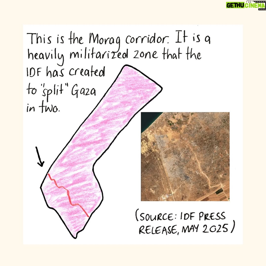 Mona Chalabi - 28.3K Likes - You might have seen that Israel agreed to a tiny amount of aid for Gaza. But the trucks have been sitting at the border, blocked from entering until distributions areas are prepared. This is the next stage of ethnic cleansing. 

The carrot = food in the south for a population that has been starved for months. 
The stick = a ground invasion and more bombings in the north.  

To find out more, look at the incredible mapping work done by @forensicarchitecture