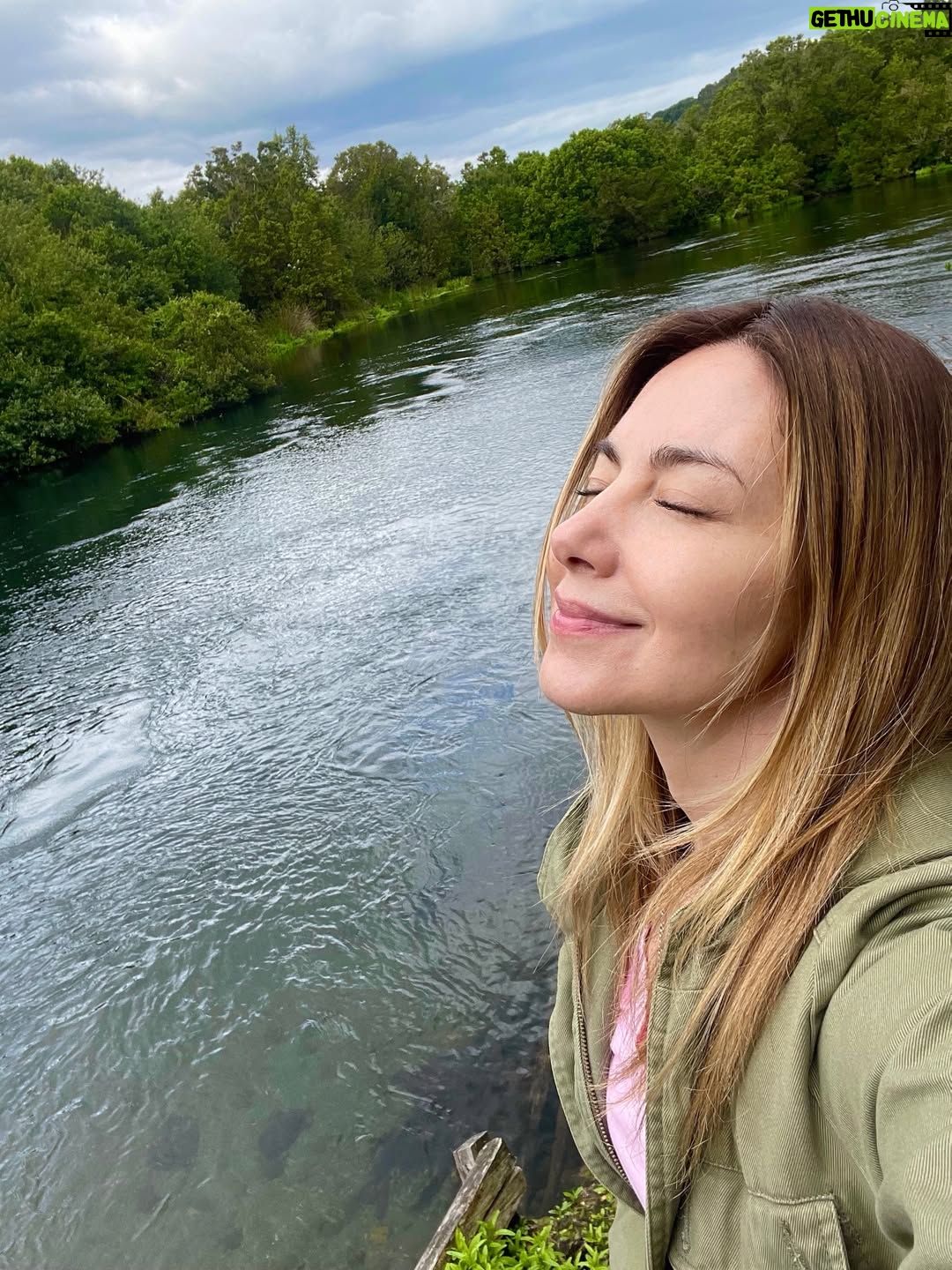 Mónica Godoy - 13.8K Likes - Un poco más de esta preciosura al lado del Río Maullín 🙏🎥💚🌷✨🌿