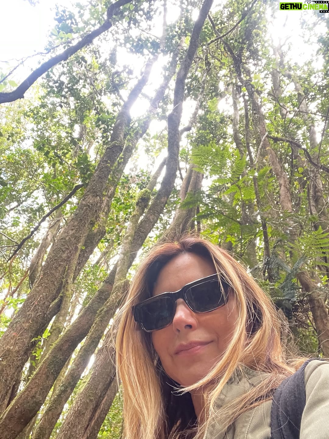 Mónica Godoy - 13.8K Likes - Un poco más de esta preciosura al lado del Río Maullín 🙏🎥💚🌷✨🌿