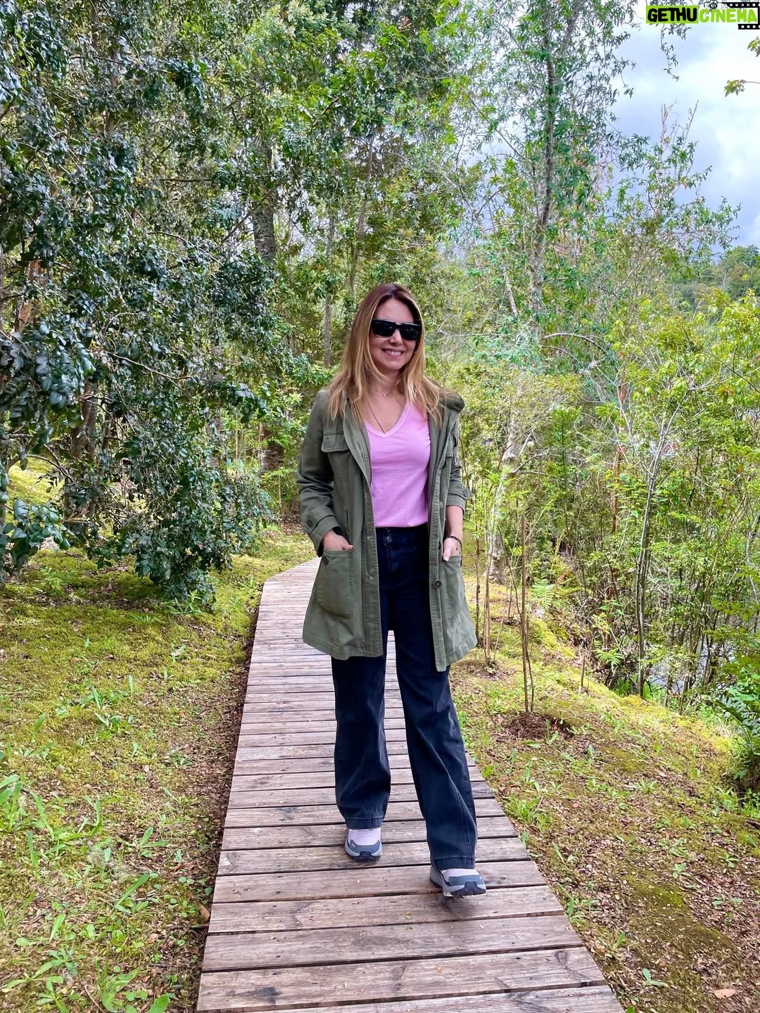 Mónica Godoy - 13.8K Likes - Un poco más de esta preciosura al lado del Río Maullín 🙏🎥💚🌷✨🌿