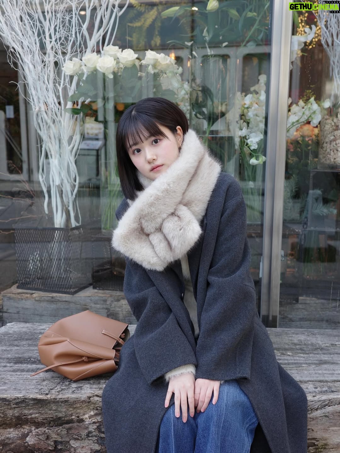 Nanoka Hara - 94.1K Likes - Merry Christmas🎄❄️

お散歩して、お茶した日。 

キャンメイクの愛用アイテム達でメイクしてみました︎☺︎
 

#CANMAKE 
#CANMAKETOKYO 
#キャンメイク 
#かわいいに出会える