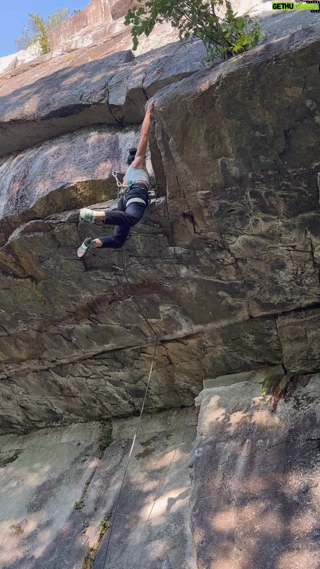 Nina Williams - 8.9K Likes - Mini break-through on the broken foot front 🦶🏼I’ve graduated from aircast to stiff @scarpana Spin Ultras, which have turned out to be decent climbing shoe substitutions. Yesterday I toproped some vert/slab that felt pretty intense on my foot; nothing over a 2/10 pain but I was definitely feeling the push on my bones more than usual. Then we stopped at the steep Jacob’s Ladder where @ericlemieux1 sent with a quickness and, seeing the campus-y movement, I felt curious about giving it a shot.

The biggest moment of uncertainty was the last throw out of the roof, where I had to toe-in more with the right foot. Let out a little power yell 😅 cause I was scared of potential pain! But nothing flared up, my fingers stuck the jug, and I finished up my first proper climb in 9 weeks. 

This may not look like it but I’m still taking things slow and conservative. The bones are knitting together steadily and my foray back to climbing continues. I’m happy with where I’m at and look forward to more of these moments ☺️ 

🎥🙏🏼: @ericlemieux1 
🪢 : @quinault 

@thenorthface_climb 
@scarpana 
@organicclimbing
