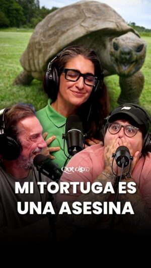 Noelia Custodio Instagram - LA TORTUGA ASESINA DE CHARO ☠️🐢

 🎙️ QUÉ OLOR es un stream argentino de humor con @noeliacustodio @miligoggia y @charonlopez | Miralo todos los martes de 16 a 18 h por @somosgelatina 

¡HOY ES LA ÚLTIMA FUNCIÓN DE QUÉ OLOR EN VIVO! ✨ 

¡La misa papeira es EN CÓRDOBA y tenés entradas con descuento hasta agotar stock! Link en stories.