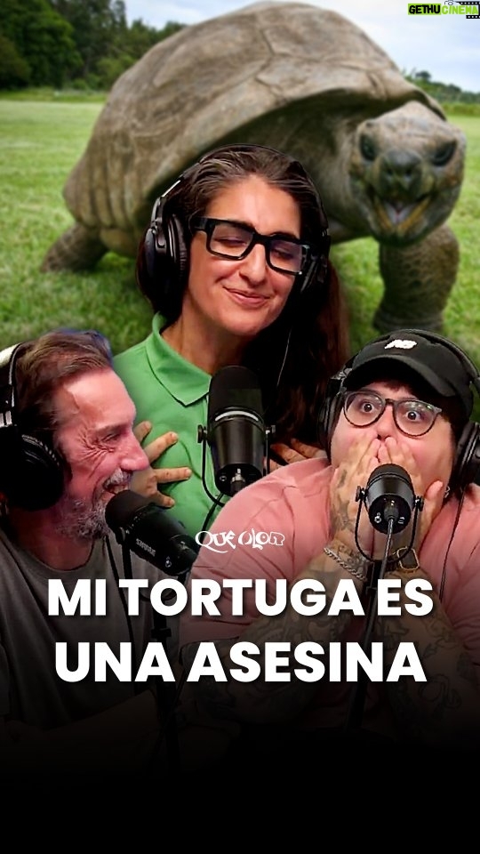 Noelia Custodio - 69.6K Likes - LA TORTUGA ASESINA DE CHARO ☠️🐢

 🎙️ QUÉ OLOR es un stream argentino de humor con @noeliacustodio @miligoggia y @charonlopez | Miralo todos los martes de 16 a 18 h por @somosgelatina 

¡HOY ES LA ÚLTIMA FUNCIÓN DE QUÉ OLOR EN VIVO! ✨ 

¡La misa papeira es EN CÓRDOBA y tenés entradas con descuento hasta agotar stock! Link en stories.