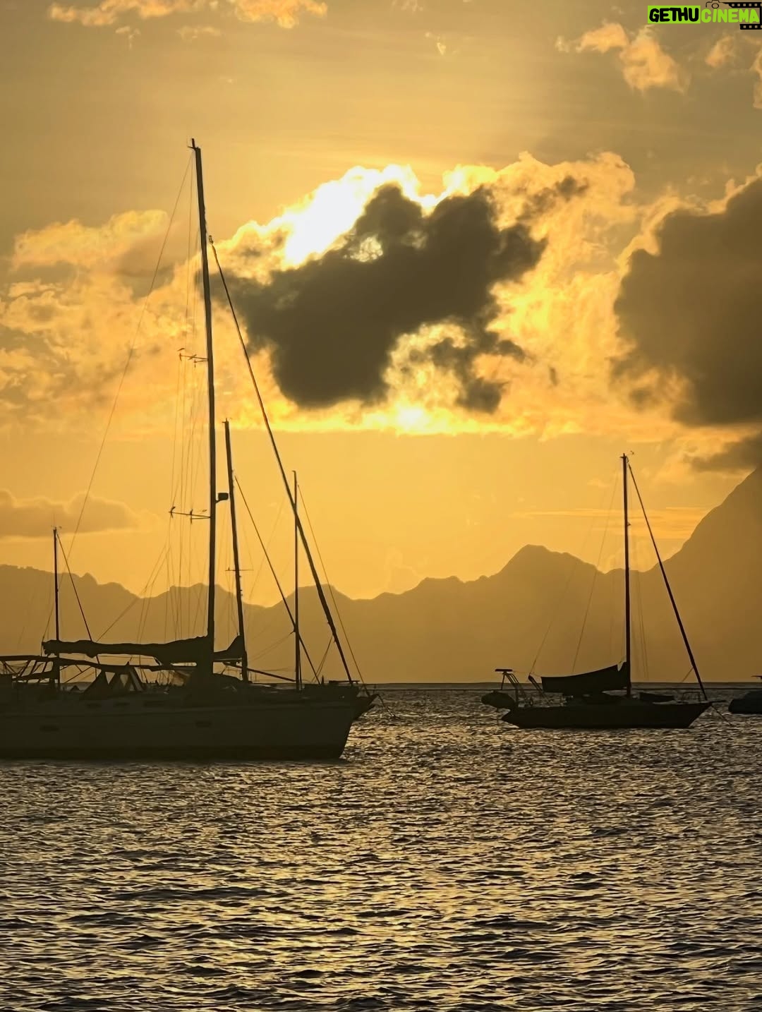 Noémie Lenoir - 8.7K Likes - ✨ Mon voyage merveilleux ✨
Une histoire qui s’écrit autour de mes 30 ans de carrière déjà…
Et pour joindre l’utile à l’agréable, nous sommes partis à Moorea.

Un lagon bleu turquoise comme toile de fond, un écrin naturel pour mettre en images toutes mes origines et célébrer ce chemin parcouru. 🌊🌺

L’émotion était à son comble :
🐋 Nager avec les majestueuses baleines
🌅 Méditer devant un coucher de soleil
📸 Poser avec un ami au grand cœur, qui a fondé une belle fondation @Focusedonnature donne un sens profond aux photos (à découvrir en 2026)

Manger local, frais et délicieux… rencontrer des personnes d’une telle gentillesse que j’en étais bouleversée par tant d’amour. 💙

Un voyage unique, et une immense gratitude d’avoir pu le vivre. ✨