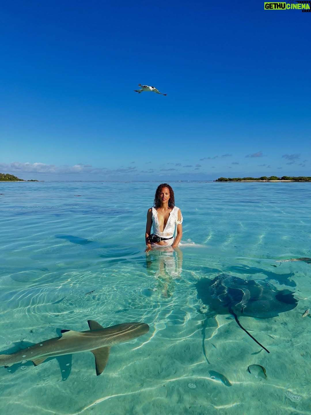 Noémie Lenoir - 8.7K Likes - ✨ Mon voyage merveilleux ✨
Une histoire qui s’écrit autour de mes 30 ans de carrière déjà…
Et pour joindre l’utile à l’agréable, nous sommes partis à Moorea.

Un lagon bleu turquoise comme toile de fond, un écrin naturel pour mettre en images toutes mes origines et célébrer ce chemin parcouru. 🌊🌺

L’émotion était à son comble :
🐋 Nager avec les majestueuses baleines
🌅 Méditer devant un coucher de soleil
📸 Poser avec un ami au grand cœur, qui a fondé une belle fondation @Focusedonnature donne un sens profond aux photos (à découvrir en 2026)

Manger local, frais et délicieux… rencontrer des personnes d’une telle gentillesse que j’en étais bouleversée par tant d’amour. 💙

Un voyage unique, et une immense gratitude d’avoir pu le vivre. ✨