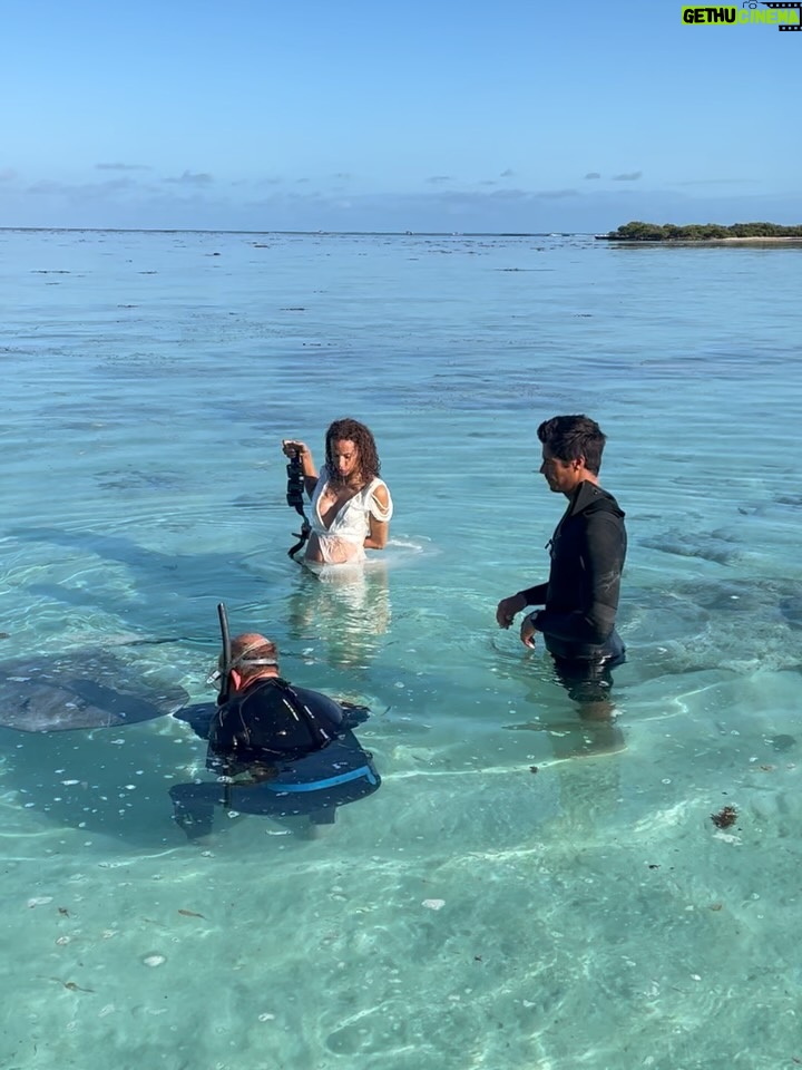 Noémie Lenoir - 8.7K Likes - ✨ Mon voyage merveilleux ✨
Une histoire qui s’écrit autour de mes 30 ans de carrière déjà…
Et pour joindre l’utile à l’agréable, nous sommes partis à Moorea.

Un lagon bleu turquoise comme toile de fond, un écrin naturel pour mettre en images toutes mes origines et célébrer ce chemin parcouru. 🌊🌺

L’émotion était à son comble :
🐋 Nager avec les majestueuses baleines
🌅 Méditer devant un coucher de soleil
📸 Poser avec un ami au grand cœur, qui a fondé une belle fondation @Focusedonnature donne un sens profond aux photos (à découvrir en 2026)

Manger local, frais et délicieux… rencontrer des personnes d’une telle gentillesse que j’en étais bouleversée par tant d’amour. 💙

Un voyage unique, et une immense gratitude d’avoir pu le vivre. ✨
