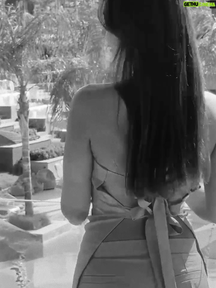 Noor El Zahed - 11.2K Likes - 
