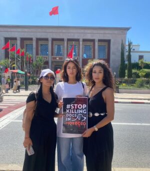 Ouidad Elma Instagram - 🇲🇦 Today, I took part in the sit-in alongside hundreds of voices refusing injustice and cruelty.
In Morocco, our street dogs and cats are still victims of massacres, even though a humane and effective solution exists: TNVR (Trap-Neuter-Vaccinate-Return).
We call for the immediate implementation of the TNVR program enacted by the 2019 convention and the removal of Article 5 from the proposed Law 19-25, which criminalizes compassion towards animals.
Protecting animals is not an option, it is a matter of dignity and justice for the human collective.
✊🐕🐈 #StopMassacres #TNVR #RespectAnimal #Morocco 🇲🇦❤️
