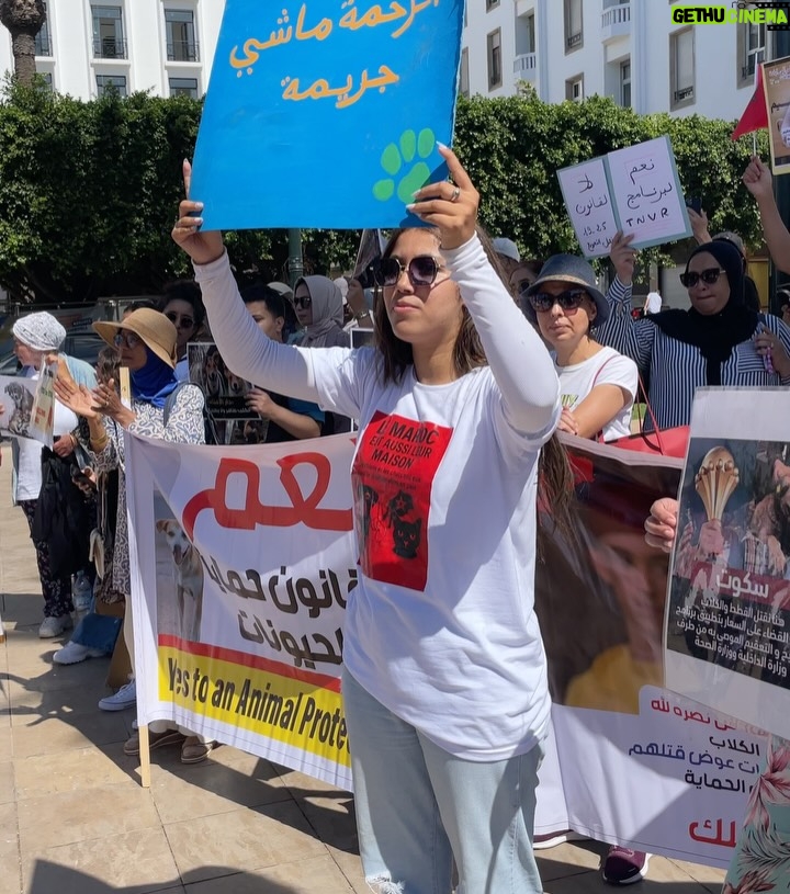 Ouidad Elma - 2.8K Likes - 🇲🇦 Today, I took part in the sit-in alongside hundreds of voices refusing injustice and cruelty.
In Morocco, our street dogs and cats are still victims of massacres, even though a humane and effective solution exists: TNVR (Trap-Neuter-Vaccinate-Return).

We call for the immediate implementation of the TNVR program enacted by the 2019 convention and the removal of Article 5 from the proposed Law 19-25, which criminalizes compassion towards animals.
Protecting animals is not an option, it is a matter of dignity and justice for the human collective.

✊🐕🐈 #StopMassacres #TNVR #RespectAnimal #Morocco 🇲🇦❤️