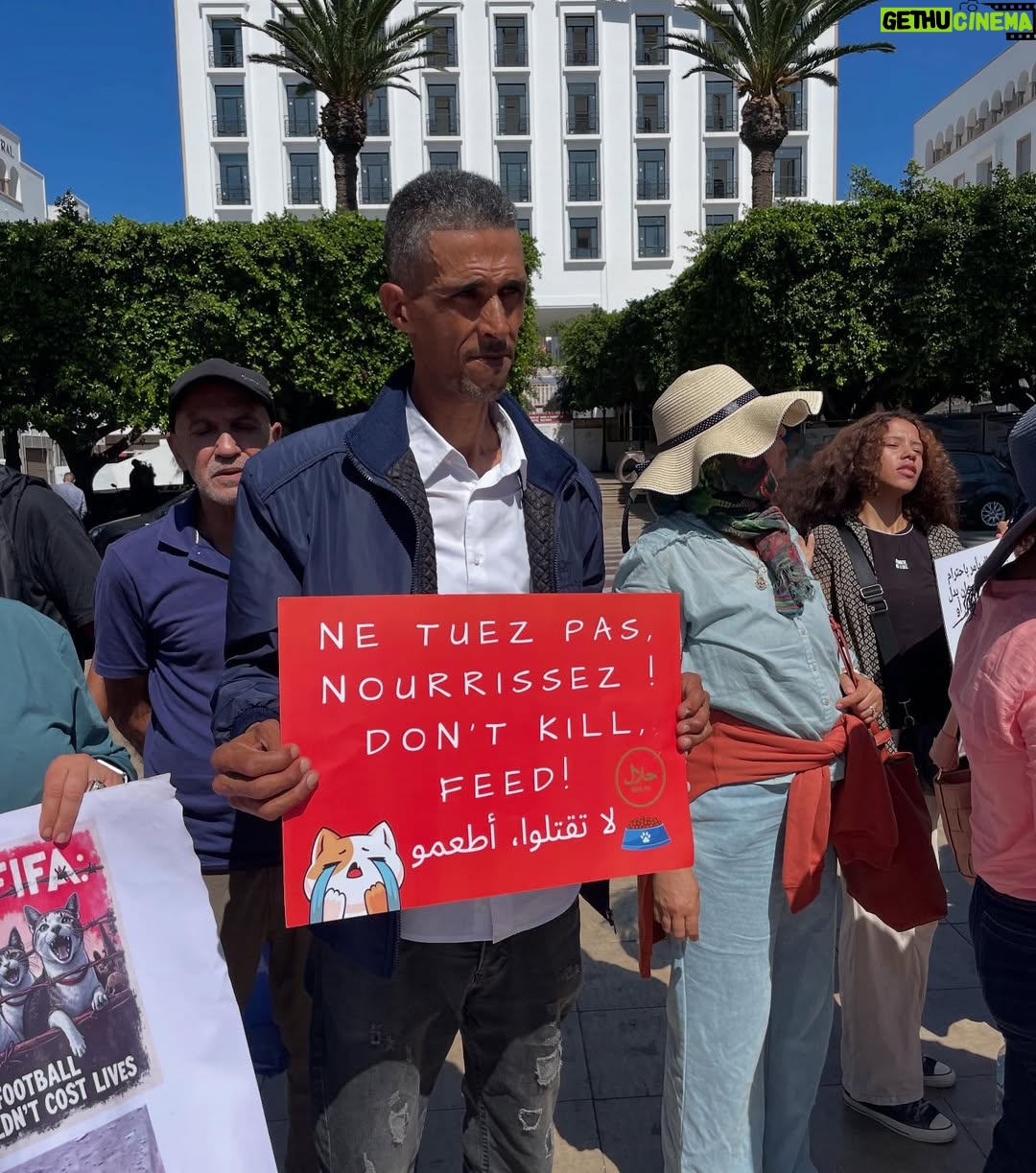 Ouidad Elma - 2.8K Likes - 🇲🇦 Today, I took part in the sit-in alongside hundreds of voices refusing injustice and cruelty.
In Morocco, our street dogs and cats are still victims of massacres, even though a humane and effective solution exists: TNVR (Trap-Neuter-Vaccinate-Return).

We call for the immediate implementation of the TNVR program enacted by the 2019 convention and the removal of Article 5 from the proposed Law 19-25, which criminalizes compassion towards animals.
Protecting animals is not an option, it is a matter of dignity and justice for the human collective.

✊🐕🐈 #StopMassacres #TNVR #RespectAnimal #Morocco 🇲🇦❤️
