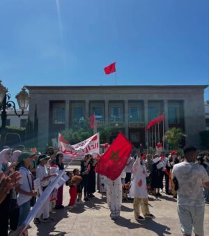 Ouidad Elma Instagram - 🇲🇦 Today, I took part in the sit-in alongside hundreds of voices refusing injustice and cruelty.
In Morocco, our street dogs and cats are still victims of massacres, even though a humane and effective solution exists: TNVR (Trap-Neuter-Vaccinate-Return).
We call for the immediate implementation of the TNVR program enacted by the 2019 convention and the removal of Article 5 from the proposed Law 19-25, which criminalizes compassion towards animals.
Protecting animals is not an option, it is a matter of dignity and justice for the human collective.
✊🐕🐈 #StopMassacres #TNVR #RespectAnimal #Morocco 🇲🇦❤️