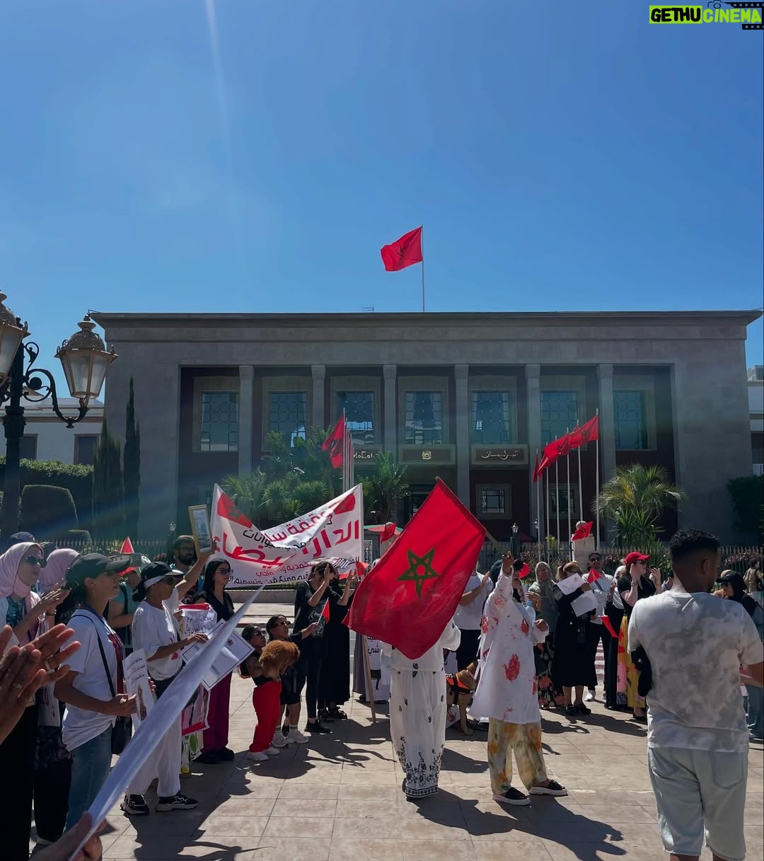 Ouidad Elma - 2.8K Likes - 🇲🇦 Today, I took part in the sit-in alongside hundreds of voices refusing injustice and cruelty.
In Morocco, our street dogs and cats are still victims of massacres, even though a humane and effective solution exists: TNVR (Trap-Neuter-Vaccinate-Return).

We call for the immediate implementation of the TNVR program enacted by the 2019 convention and the removal of Article 5 from the proposed Law 19-25, which criminalizes compassion towards animals.
Protecting animals is not an option, it is a matter of dignity and justice for the human collective.

✊🐕🐈 #StopMassacres #TNVR #RespectAnimal #Morocco 🇲🇦❤️