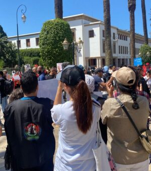 Ouidad Elma Instagram - 🇲🇦 Today, I took part in the sit-in alongside hundreds of voices refusing injustice and cruelty.
In Morocco, our street dogs and cats are still victims of massacres, even though a humane and effective solution exists: TNVR (Trap-Neuter-Vaccinate-Return).
We call for the immediate implementation of the TNVR program enacted by the 2019 convention and the removal of Article 5 from the proposed Law 19-25, which criminalizes compassion towards animals.
Protecting animals is not an option, it is a matter of dignity and justice for the human collective.
✊🐕🐈 #StopMassacres #TNVR #RespectAnimal #Morocco 🇲🇦❤️