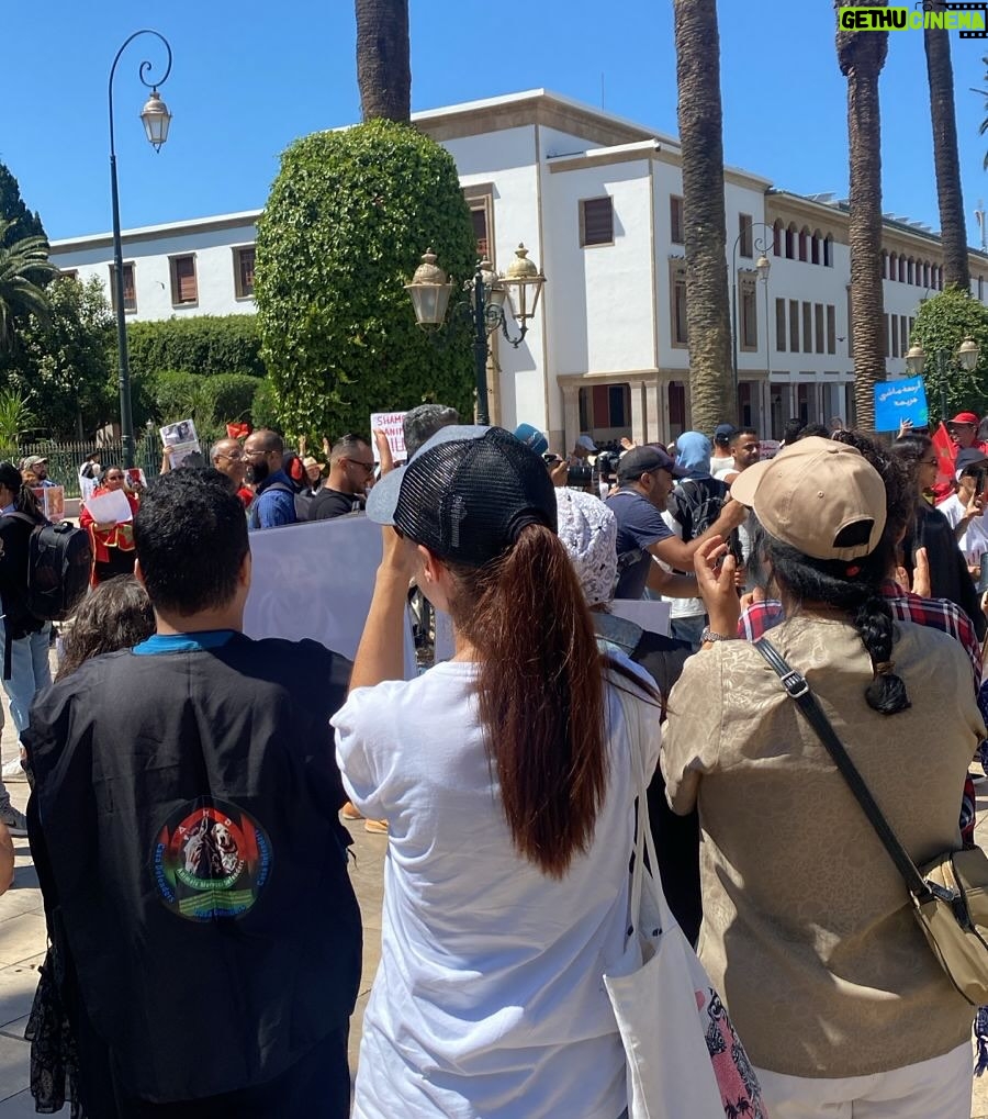 Ouidad Elma - 2.8K Likes - 🇲🇦 Today, I took part in the sit-in alongside hundreds of voices refusing injustice and cruelty.
In Morocco, our street dogs and cats are still victims of massacres, even though a humane and effective solution exists: TNVR (Trap-Neuter-Vaccinate-Return).

We call for the immediate implementation of the TNVR program enacted by the 2019 convention and the removal of Article 5 from the proposed Law 19-25, which criminalizes compassion towards animals.
Protecting animals is not an option, it is a matter of dignity and justice for the human collective.

✊🐕🐈 #StopMassacres #TNVR #RespectAnimal #Morocco 🇲🇦❤️