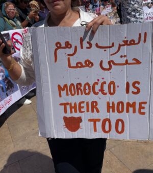 Ouidad Elma Instagram - 🇲🇦 Today, I took part in the sit-in alongside hundreds of voices refusing injustice and cruelty.
In Morocco, our street dogs and cats are still victims of massacres, even though a humane and effective solution exists: TNVR (Trap-Neuter-Vaccinate-Return).
We call for the immediate implementation of the TNVR program enacted by the 2019 convention and the removal of Article 5 from the proposed Law 19-25, which criminalizes compassion towards animals.
Protecting animals is not an option, it is a matter of dignity and justice for the human collective.
✊🐕🐈 #StopMassacres #TNVR #RespectAnimal #Morocco 🇲🇦❤️