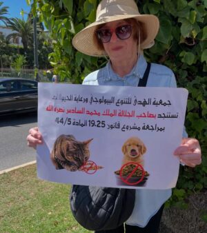 Ouidad Elma Instagram - 🇲🇦 Today, I took part in the sit-in alongside hundreds of voices refusing injustice and cruelty.
In Morocco, our street dogs and cats are still victims of massacres, even though a humane and effective solution exists: TNVR (Trap-Neuter-Vaccinate-Return).
We call for the immediate implementation of the TNVR program enacted by the 2019 convention and the removal of Article 5 from the proposed Law 19-25, which criminalizes compassion towards animals.
Protecting animals is not an option, it is a matter of dignity and justice for the human collective.
✊🐕🐈 #StopMassacres #TNVR #RespectAnimal #Morocco 🇲🇦❤️