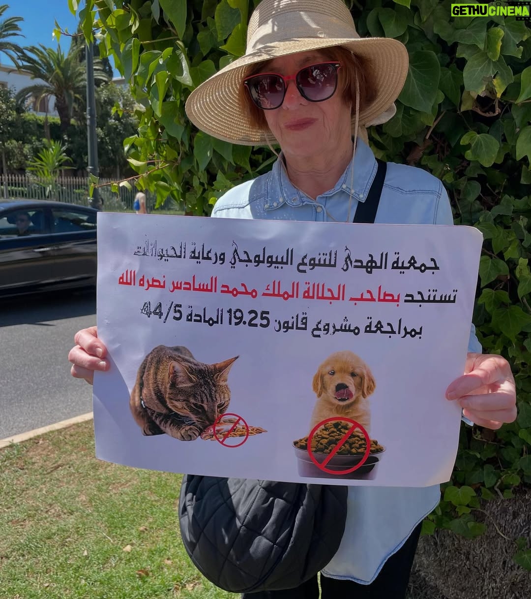 Ouidad Elma - 2.8K Likes - 🇲🇦 Today, I took part in the sit-in alongside hundreds of voices refusing injustice and cruelty.
In Morocco, our street dogs and cats are still victims of massacres, even though a humane and effective solution exists: TNVR (Trap-Neuter-Vaccinate-Return).

We call for the immediate implementation of the TNVR program enacted by the 2019 convention and the removal of Article 5 from the proposed Law 19-25, which criminalizes compassion towards animals.
Protecting animals is not an option, it is a matter of dignity and justice for the human collective.

✊🐕🐈 #StopMassacres #TNVR #RespectAnimal #Morocco 🇲🇦❤️