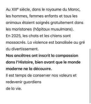 Ouidad Elma Instagram - 🇲🇦 Today, I took part in the sit-in alongside hundreds of voices refusing injustice and cruelty.
In Morocco, our street dogs and cats are still victims of massacres, even though a humane and effective solution exists: TNVR (Trap-Neuter-Vaccinate-Return).
We call for the immediate implementation of the TNVR program enacted by the 2019 convention and the removal of Article 5 from the proposed Law 19-25, which criminalizes compassion towards animals.
Protecting animals is not an option, it is a matter of dignity and justice for the human collective.
✊🐕🐈 #StopMassacres #TNVR #RespectAnimal #Morocco 🇲🇦❤️
