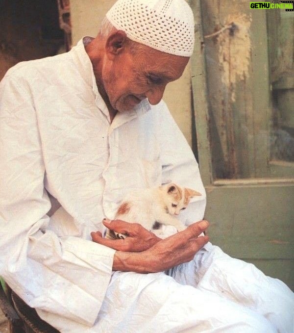 Ouidad Elma - 2.8K Likes - 🇲🇦 Today, I took part in the sit-in alongside hundreds of voices refusing injustice and cruelty.
In Morocco, our street dogs and cats are still victims of massacres, even though a humane and effective solution exists: TNVR (Trap-Neuter-Vaccinate-Return).

We call for the immediate implementation of the TNVR program enacted by the 2019 convention and the removal of Article 5 from the proposed Law 19-25, which criminalizes compassion towards animals.
Protecting animals is not an option, it is a matter of dignity and justice for the human collective.

✊🐕🐈 #StopMassacres #TNVR #RespectAnimal #Morocco 🇲🇦❤️