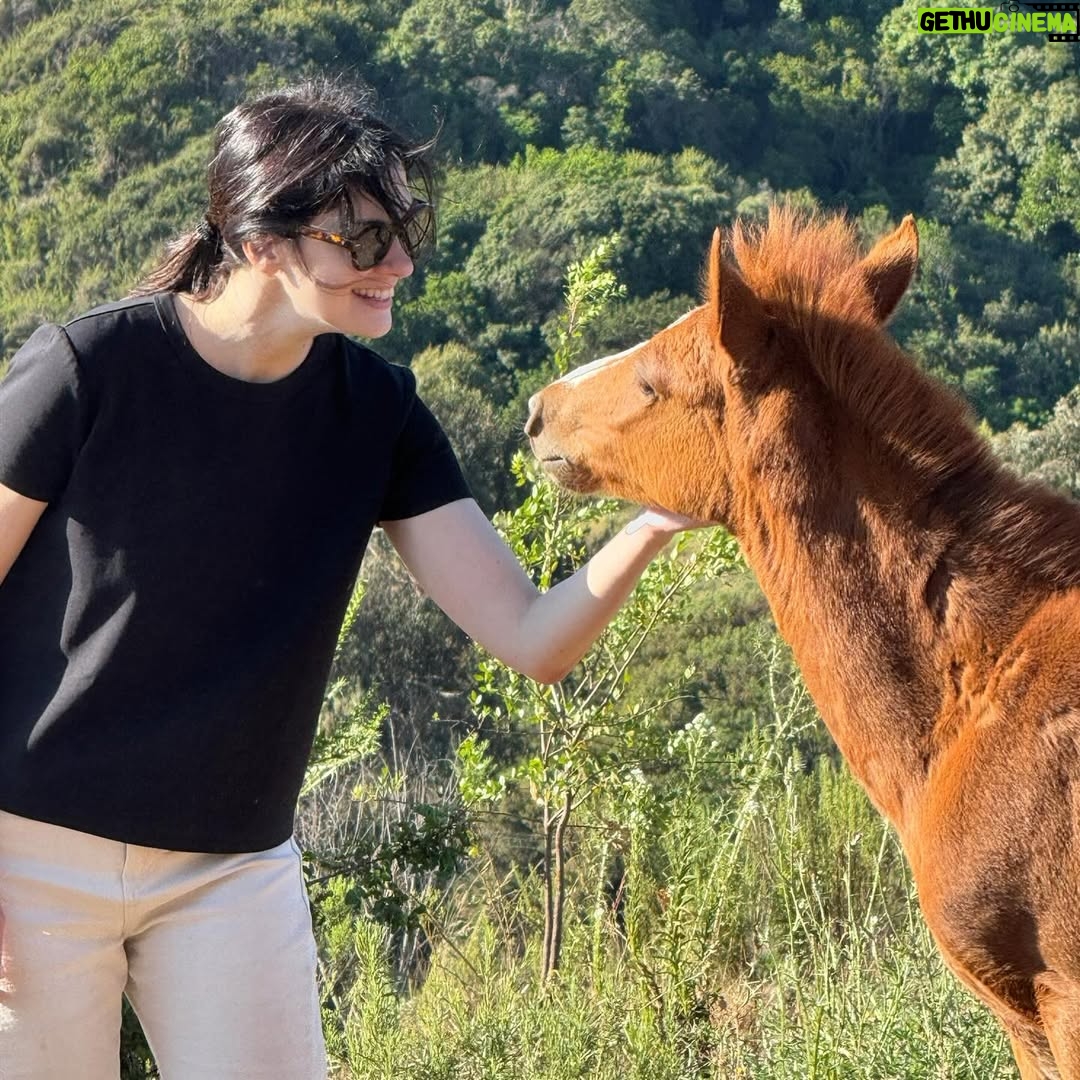 Paloma Moreno - 5.6K Likes - Campo y playa 🤍