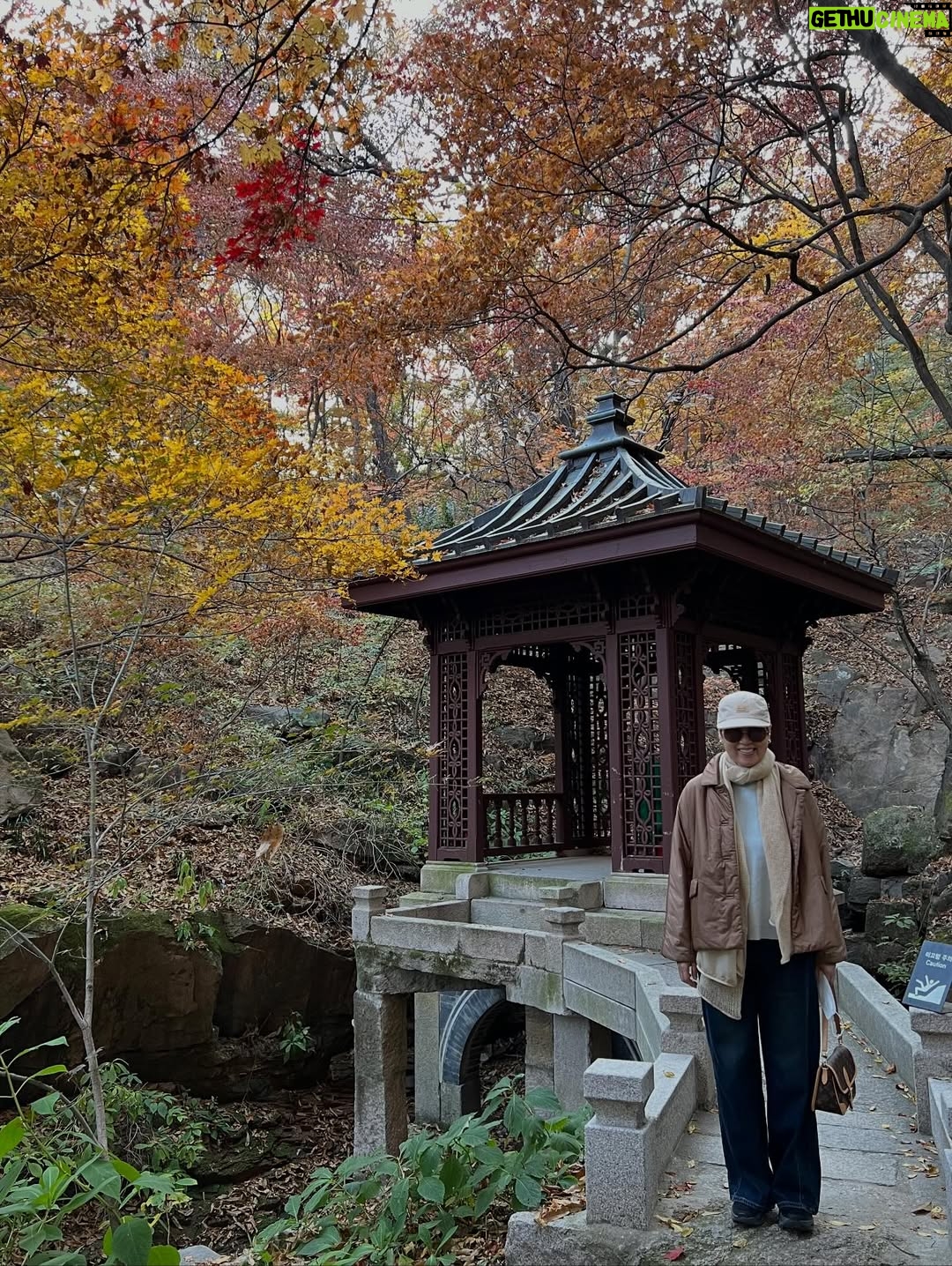 Park Mi-sun - 29.3K Likes - 가을  잘 즐기고  계신가요? 
.
경복궁부터  부암동까지 
.
살면서  이런 여유를 다  누리네요 
.
석파정이란곳에  첨  가봤는데  단풍이 너무  아름다와서  정말  꿈처럼  행복한  산책이었어요 
.
#경복궁 #석파정 #가을단풍 #산책
.
이렇게  막  사진 올리고  하니까  좋네요 ㅎㅎ 
.
좋은  하루 되세요