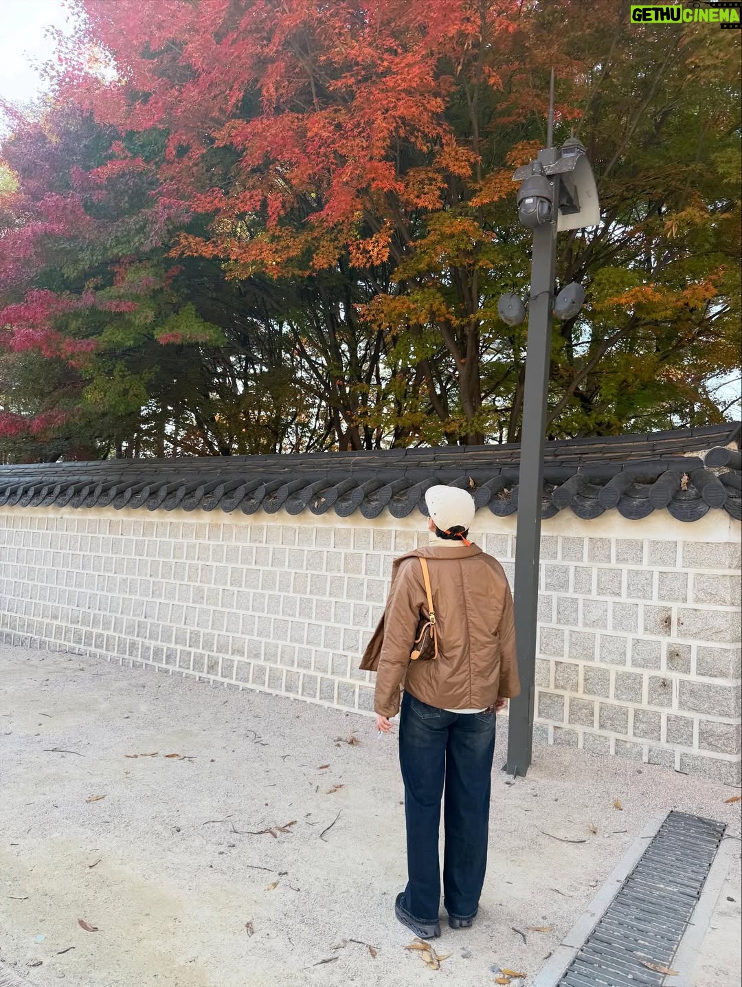 Park Mi-sun - 29.3K Likes - 가을  잘 즐기고  계신가요? 
.
경복궁부터  부암동까지 
.
살면서  이런 여유를 다  누리네요 
.
석파정이란곳에  첨  가봤는데  단풍이 너무  아름다와서  정말  꿈처럼  행복한  산책이었어요 
.
#경복궁 #석파정 #가을단풍 #산책
.
이렇게  막  사진 올리고  하니까  좋네요 ㅎㅎ 
.
좋은  하루 되세요