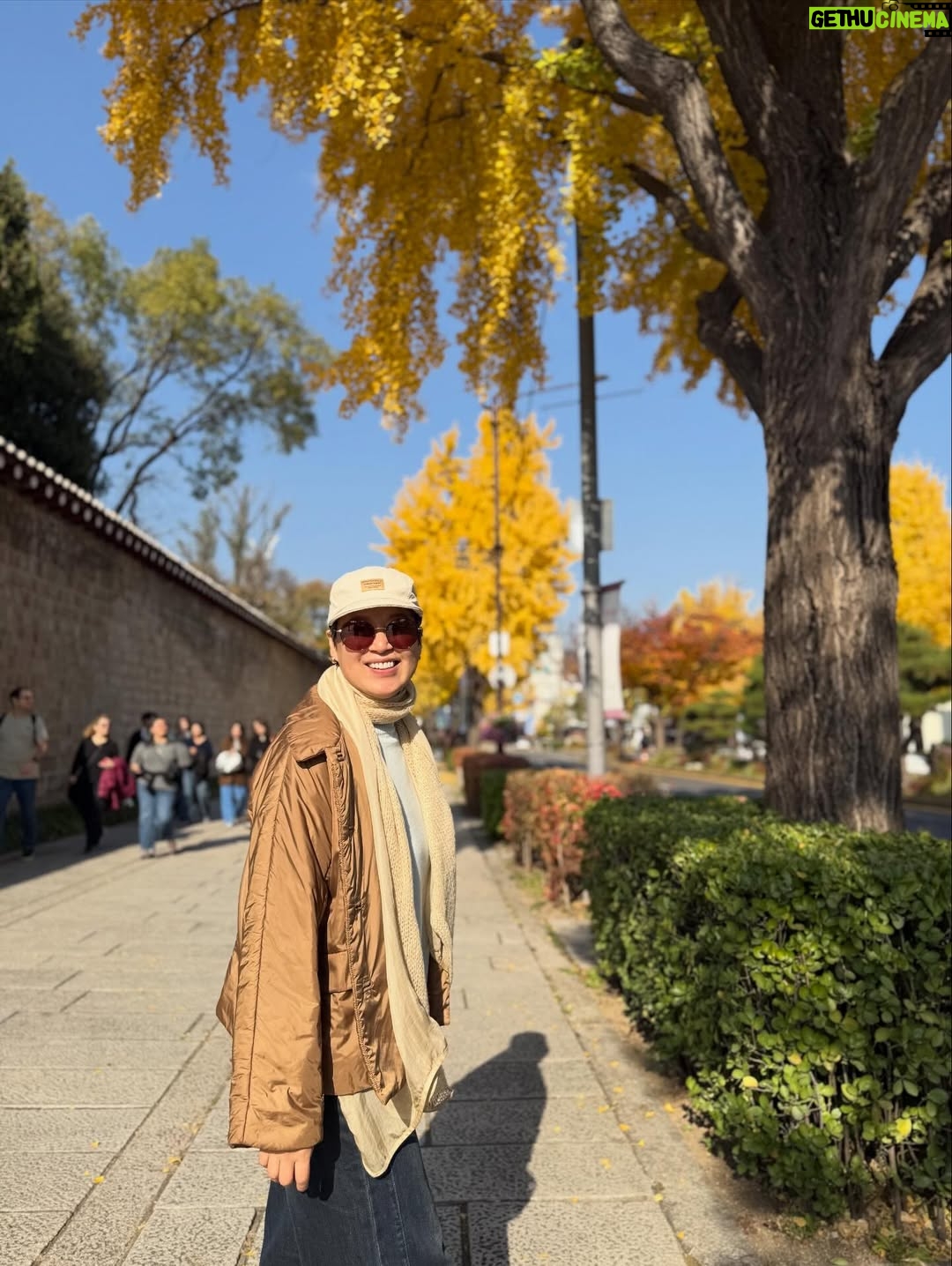 Park Mi-sun - 29.3K Likes - 가을  잘 즐기고  계신가요? 
.
경복궁부터  부암동까지 
.
살면서  이런 여유를 다  누리네요 
.
석파정이란곳에  첨  가봤는데  단풍이 너무  아름다와서  정말  꿈처럼  행복한  산책이었어요 
.
#경복궁 #석파정 #가을단풍 #산책
.
이렇게  막  사진 올리고  하니까  좋네요 ㅎㅎ 
.
좋은  하루 되세요