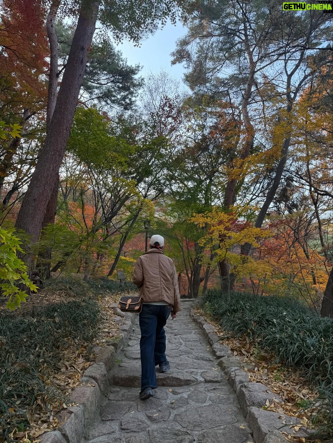 Park Mi-sun - 29.3K Likes - 가을  잘 즐기고  계신가요? 
.
경복궁부터  부암동까지 
.
살면서  이런 여유를 다  누리네요 
.
석파정이란곳에  첨  가봤는데  단풍이 너무  아름다와서  정말  꿈처럼  행복한  산책이었어요 
.
#경복궁 #석파정 #가을단풍 #산책
.
이렇게  막  사진 올리고  하니까  좋네요 ㅎㅎ 
.
좋은  하루 되세요