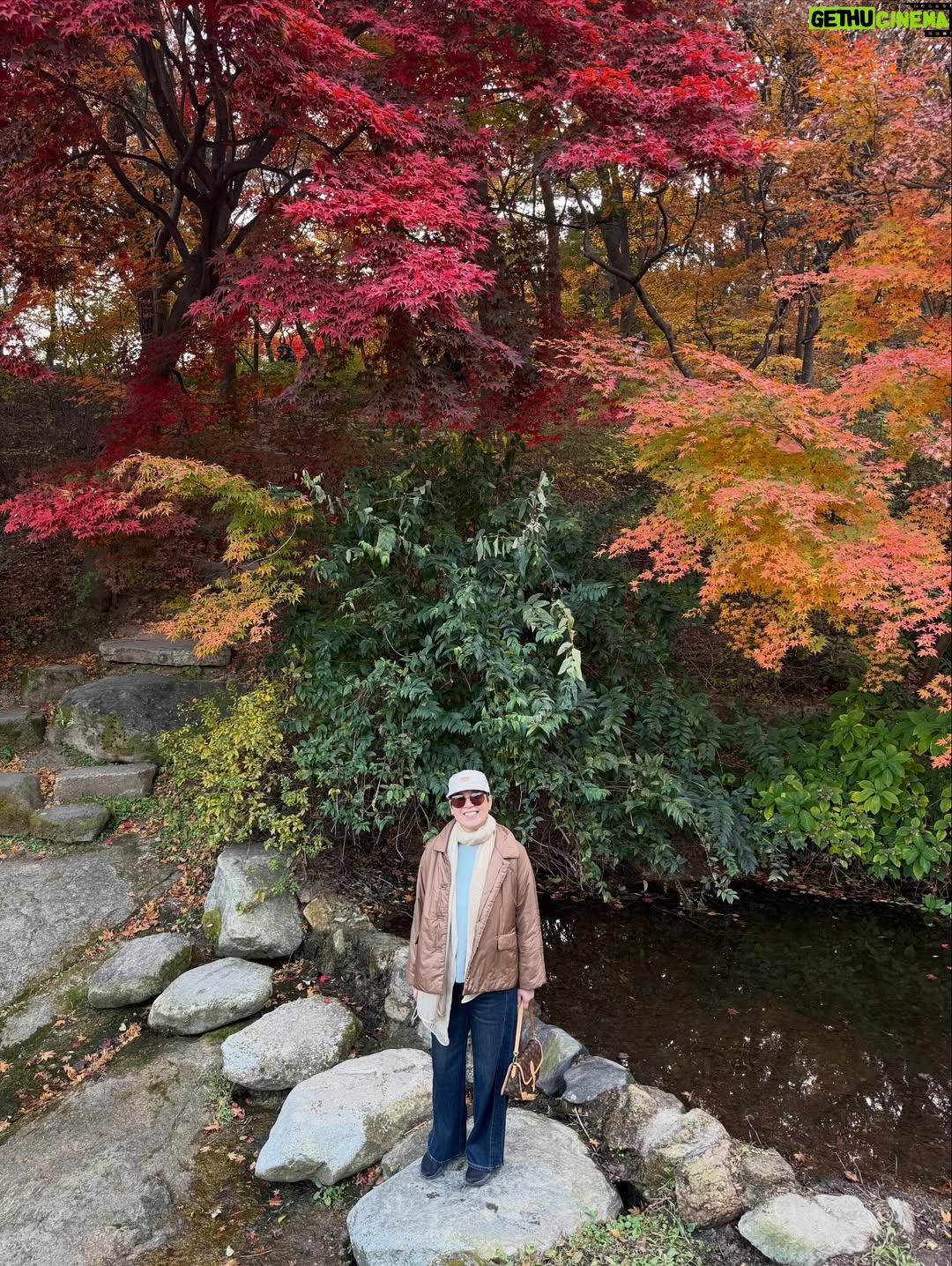 Park Mi-sun - 29.3K Likes - 가을  잘 즐기고  계신가요? 
.
경복궁부터  부암동까지 
.
살면서  이런 여유를 다  누리네요 
.
석파정이란곳에  첨  가봤는데  단풍이 너무  아름다와서  정말  꿈처럼  행복한  산책이었어요 
.
#경복궁 #석파정 #가을단풍 #산책
.
이렇게  막  사진 올리고  하니까  좋네요 ㅎㅎ 
.
좋은  하루 되세요