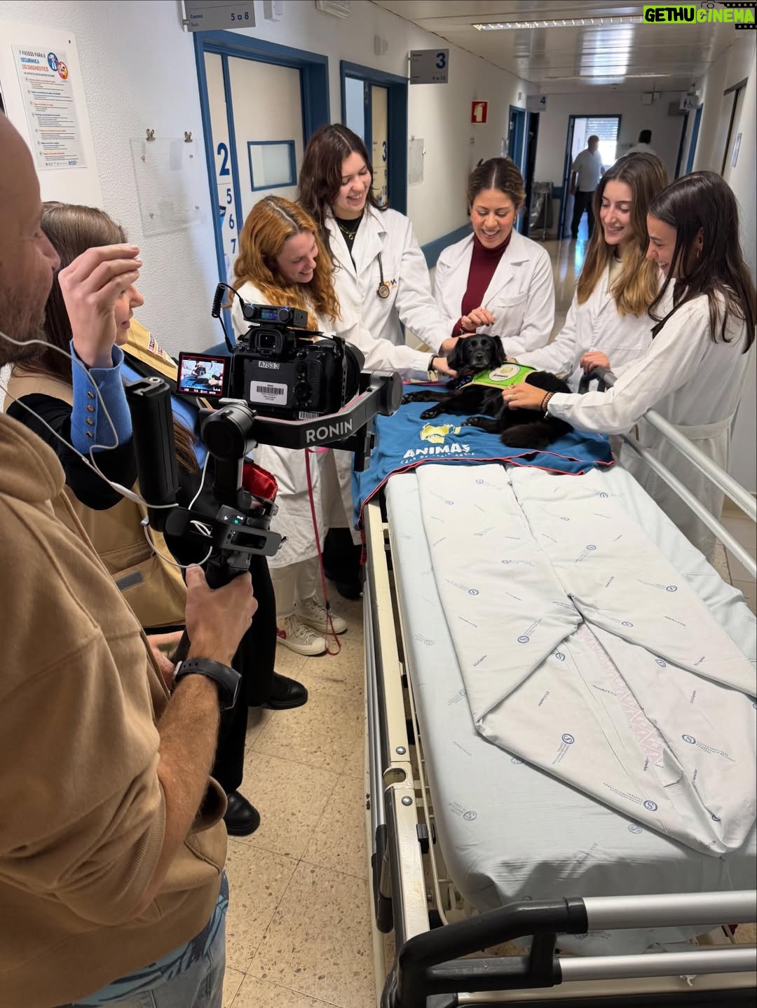 Paula Neves - 3.6K Likes - No “Há festa no Hospital” da @tvioficial conheci o trabalho incrível da @associacaoanimas .
Levam cães a hospitais para ajudarem quem está internado, para melhorarem o estado de espírito dos doentes e para dar algum consolo a quem está a passar uma batalha difícil.
Curiosamente estas visitas são muito apreciadas por todos, desde os seguranças da entrada até aos médicos e enfermeiros.
E todos conheciam e esperavam a doce Ônix ❤️

Esta associação faz este trabalho tão importante de forma gratuita. 
A Associação consegue existir através de donativos ou então através da consignação do IRS.
Quando chegar a altura não se esqueça deles ;) 
Aqui fica o NIF: 506 119 718