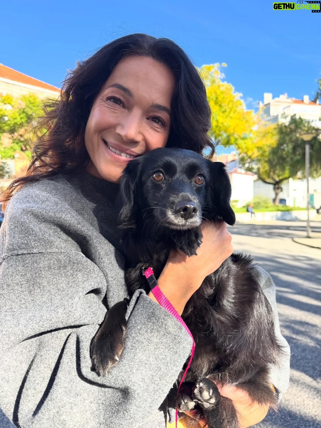 Paula Neves - 3.6K Likes - No “Há festa no Hospital” da @tvioficial conheci o trabalho incrível da @associacaoanimas .
Levam cães a hospitais para ajudarem quem está internado, para melhorarem o estado de espírito dos doentes e para dar algum consolo a quem está a passar uma batalha difícil.
Curiosamente estas visitas são muito apreciadas por todos, desde os seguranças da entrada até aos médicos e enfermeiros.
E todos conheciam e esperavam a doce Ônix ❤️

Esta associação faz este trabalho tão importante de forma gratuita. 
A Associação consegue existir através de donativos ou então através da consignação do IRS.
Quando chegar a altura não se esqueça deles ;) 
Aqui fica o NIF: 506 119 718