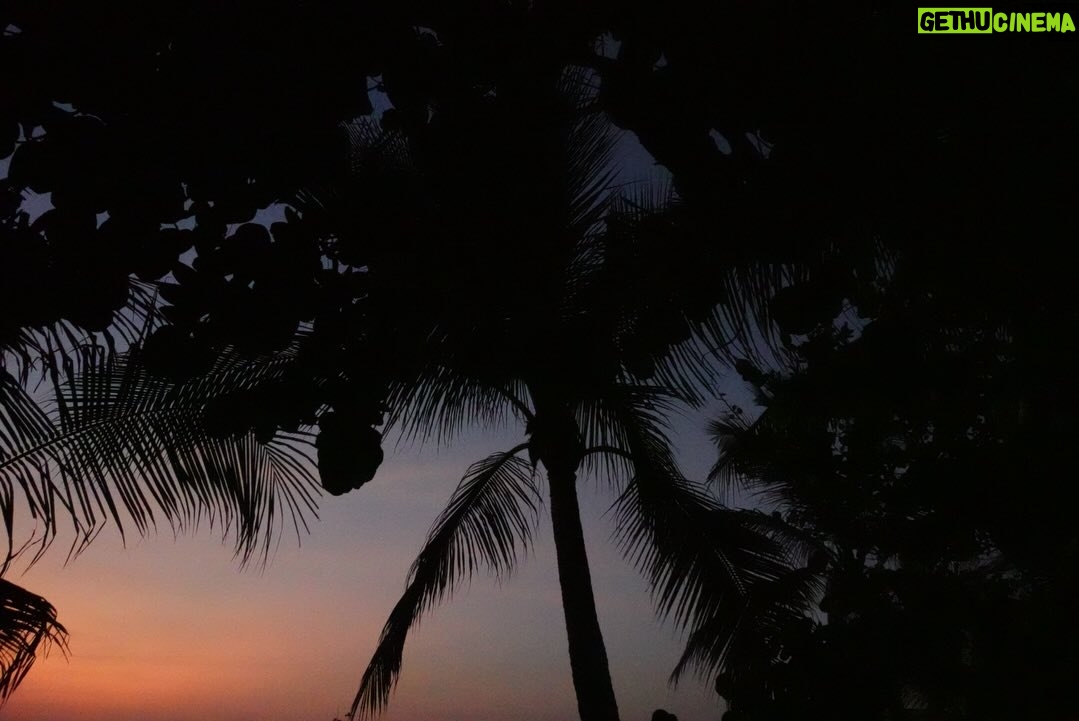 Paula Ribó - 7.8K Likes - :’)