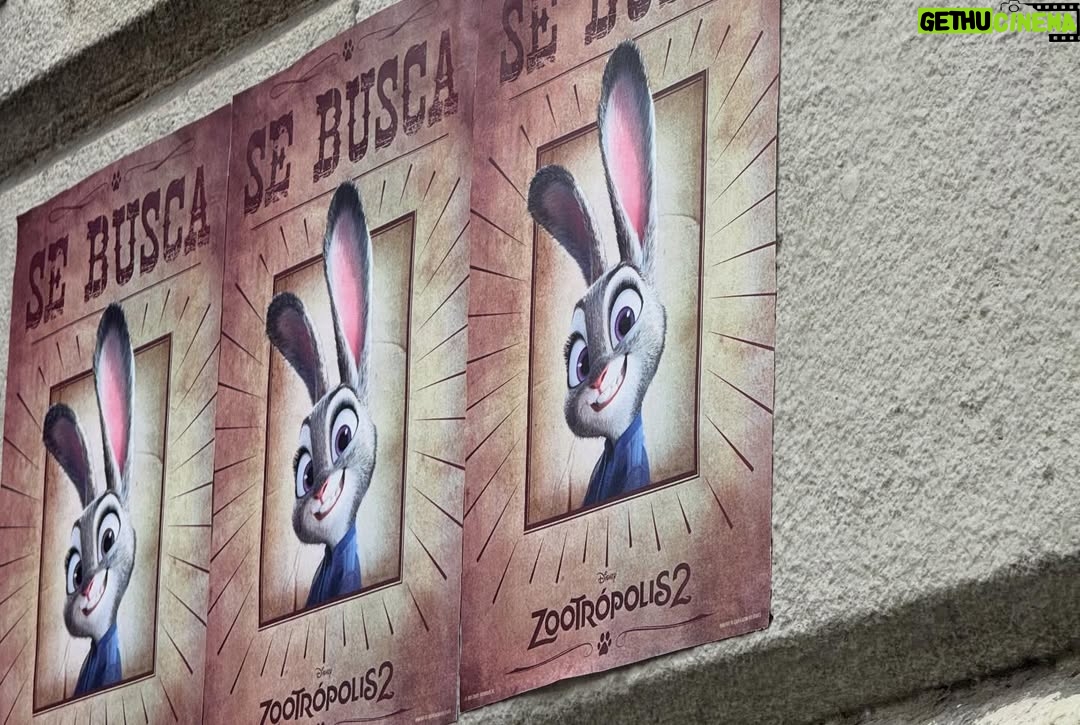 Paula Ribó - 5.7K Likes - Zootrópolis 2 se estrena el 28 de Noviembre en cineeeees!!! Tengo el honor de volver a ser la agente Hops, la mejor policía, la más entregada, carismática, graciosa y generosa de la conejitas🐰🐰🐰🐰🐰No os la perdáis