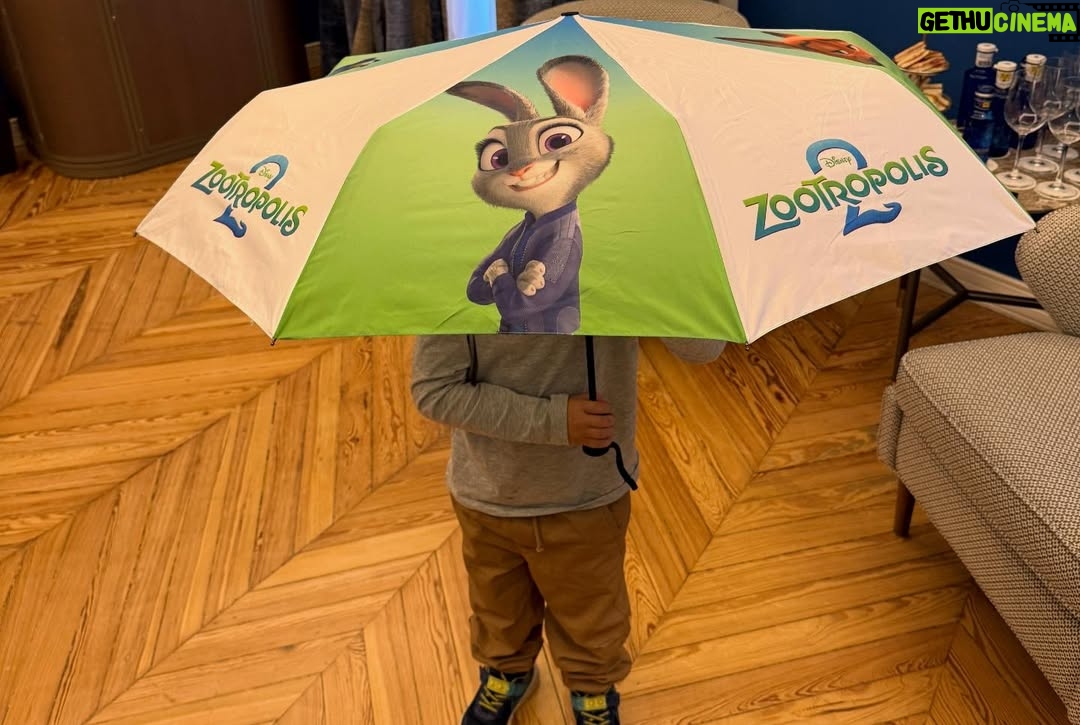 Paula Ribó - 5.7K Likes - Zootrópolis 2 se estrena el 28 de Noviembre en cineeeees!!! Tengo el honor de volver a ser la agente Hops, la mejor policía, la más entregada, carismática, graciosa y generosa de la conejitas🐰🐰🐰🐰🐰No os la perdáis